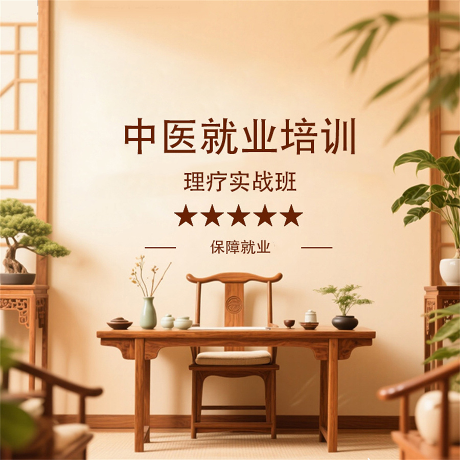 中医就业培训 
